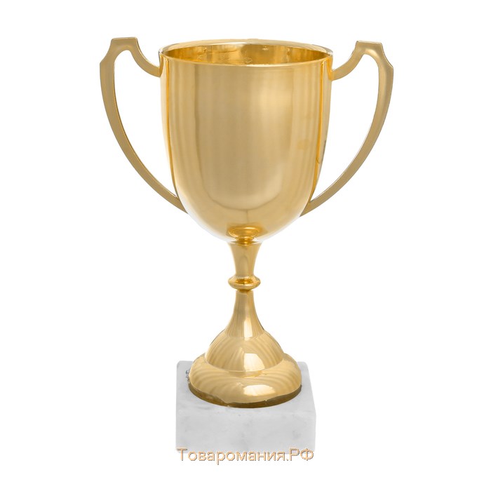 Кубок 117, наградная фигура, золото, подставка пластик, 17,1 × 12 × 6 см
