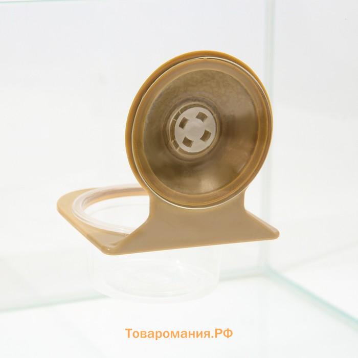 Кормушка NomoyPet для террариума на присосках, 7,5 х 11 см
