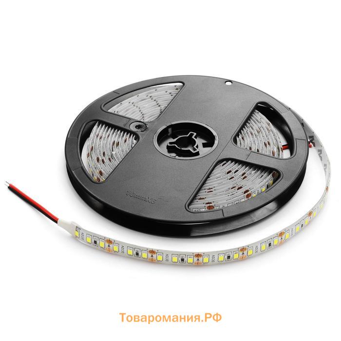 Cветодиодная лента Apeyron Electrics 5 м, IP65, SMD2835, 120 LED/м, 9.6 Вт/м, 12 В, 6500К