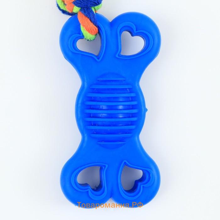 Игрушка жевательная с канатом "Косточка на привязи", 9,5 см, синяя