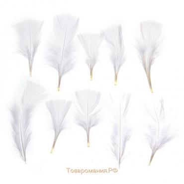 Набор перьев для декора 10 шт., размер 1 шт: 10 × 4 см, цвет белый