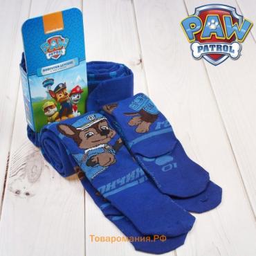 Колготки PAW PATROL «Гончик», цвет синий, 86-92 см