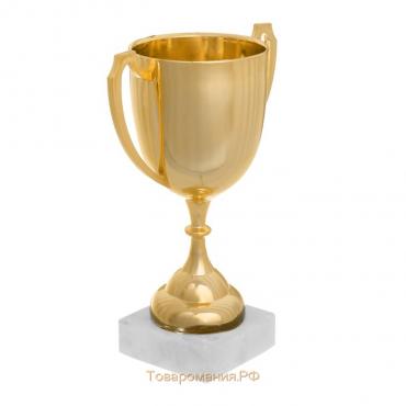 Кубок 117, наградная фигура, золото, подставка пластик, 17,1 × 12 × 6 см