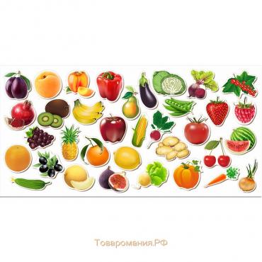 Обучающий набор «Овощи, фрукты, ягоды»
