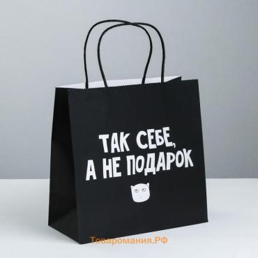 Пакет подарочный, упаковка, «Так себе, а не подарок», 22 х 22 х 11 см