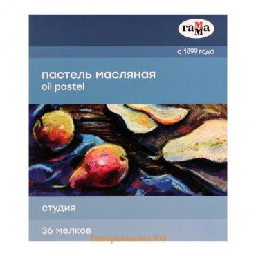 Пастель масляная, набор 36 цветов, Гамма "Студия", d-8мм, l-65мм, в картонной коробке